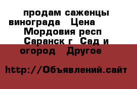 продам саженцы винограда › Цена ­ 300 - Мордовия респ., Саранск г. Сад и огород » Другое   